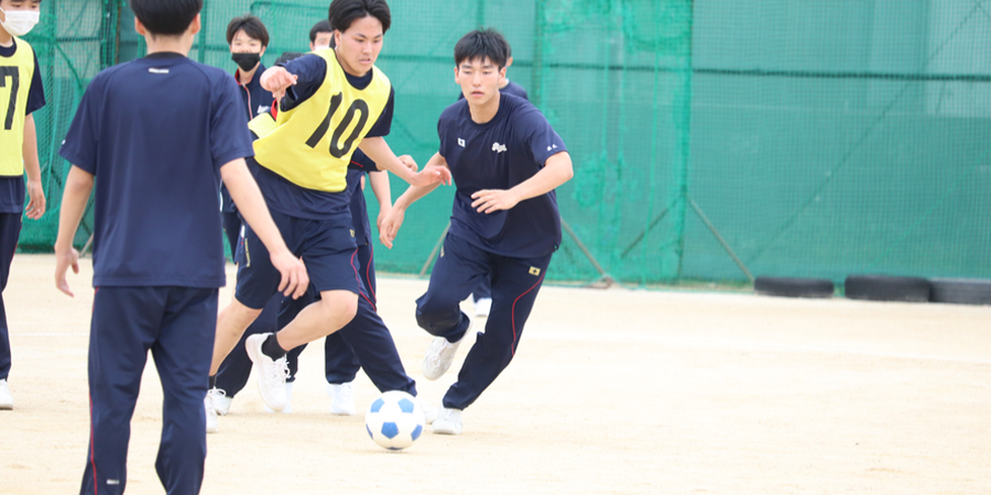 6月の写真